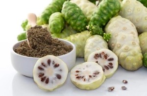 Premium Noni Fruit Powder Morinda Citrifolia 100% Natural Dried & Ground from Tropical Vietnam - Product Image 3