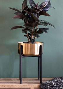 Maceta decorativa de metal dorado ideal para añadir un toque vintage a rincones de jardín rústicos y estilo de casa de campo - Product Image 2