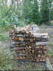 Supplier of split and ready-to-use Oak Firewood for bulk. - Product Image 6