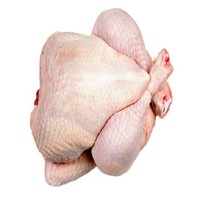 Poulet entier Halal congelé de haute qualité avec de la graisse Produit à prix compétitif