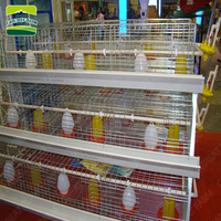 Cage à poulets portable facile à assembler pour poussins de 0 jour, neuve, avec plateau pour poussins de ferme