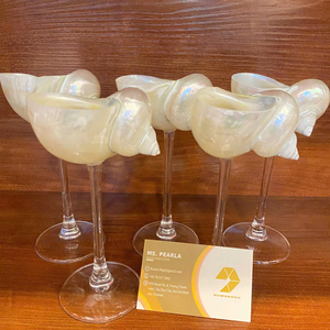 Restaurants & Wholesale Buyers Sustainable Shell Conch Cup Handmade Natural Seashell Glass Polished Martini Cup. - Product Image 1