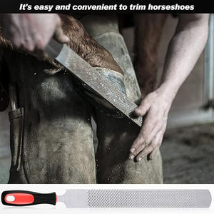 Juego de instrumentos veterinarios equinos profesionales Kit de herramientas de herrador de caballos Incluye pezuña Nipper Trimmer Raspador Cuchillo y cepillo de selección - Product Image 3