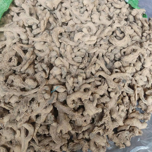 Raíz de jengibre seca a granel de alta calidad de Bao Tram Anh Company, agricultura fresca de Vietnam suministrada directamente a granjero vietnamita - Product Image 1