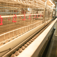 Cage à poussins de qualité supérieure en acier galvanisé à bon prix