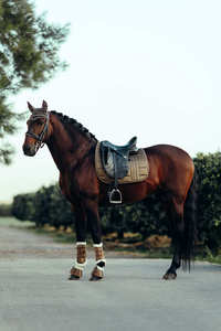 2024 Tapis de selle tout usage d'équitation équestre blanc - Product Image 6