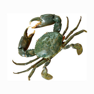 Filetes de carne de cangrejo azul fresco congelado, aperitivos de mariscos, caja de artículos tipo, variedad de alimentos y bebidas de cangrejo de barro - Product Image 1