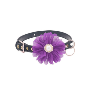 Nylon Cat <b>Collar</b> for Pets - Product Image 2