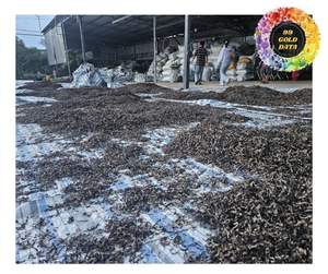 Champignons d'Oreille Séchés du Vietnam de Qualité Export, Champignons d'Oreille Naturels, Champignons Noirs, Approvisionnement en Gros pour Acheteurs, Champignons Séchés - Product Image 6