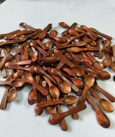 Mini cuillères en bois pour thé café cosmétique sel de bain cuisine épices mesures poli petite cuillère en bois FS INTERNATIONAL