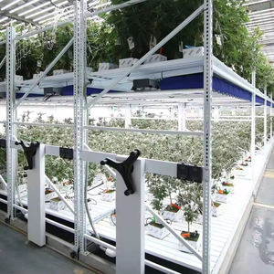 Sistema de Bancadas Rodantes Multicapa Personalizadas con Sistema de Flujo y Reflujo para Cultivo en Invernaderos y Contenedores - Product Image 1