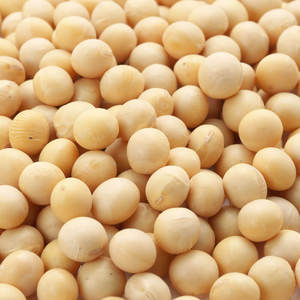 Best Grade Dried Soybean Bulk Packed - Product Image 2
