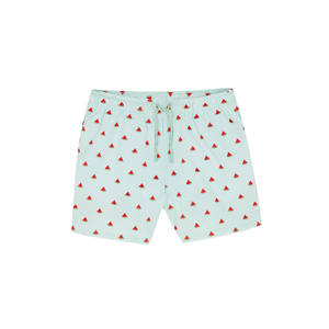 Pantalones cortos de playa de secado rápido para hombre, bañadores impermeables estampados de talla grande, estilo informal, transpirable, tejido frontal liso, estambre 100% - Product Image 4