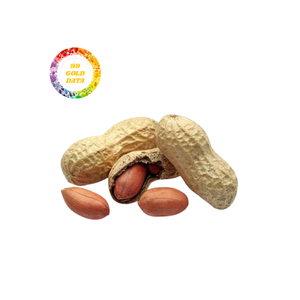 Cacahuetes crudos congelados de Vietnam Suministro a granel Cacahuetes IQF de calidad superior para la industria alimentaria y la exportación - Product Image 2