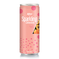 Bebidas de fábrica de Vietnam, bebida carbonatada, 250ml de agua brillante con sabor a fruta mixta