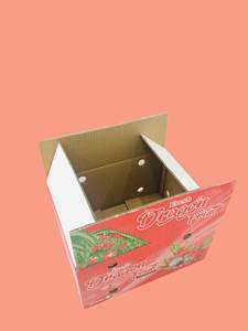 Cajas de papel rectangulares corrugadas plegables OEM con tratamiento UV para el envío de la agricultura-Materiales reciclados de embalaje de fruta de dragón - Product Image 6