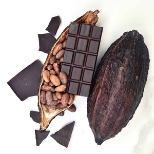 Dried Cocoa <b>Beans</b> Factory Price for Sale - Product Image 1