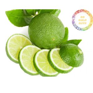 PREMIUM EXPORTATION FRAIS SANS GRAINES LIME VIETNAM FRUIT VERT MEILLEUR PRIX FOURNISSEUR POUR LE MARCHÉ MONDIAL - Product Image 3
