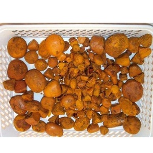 Cálculos Biliares de Buey Naturales Puros, Bezoar Bovis Seco, Uso Medicinal, Suministro a Granel - Product Image 3