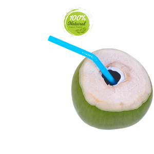 มะพร้าวสดจากธรรมชาติรสชาติธรรมชาติผลิตภัณฑ์ทางการเกษตรเวียดนามเพื่อประสบการณ์ที่สดชื่น - Product Image 2