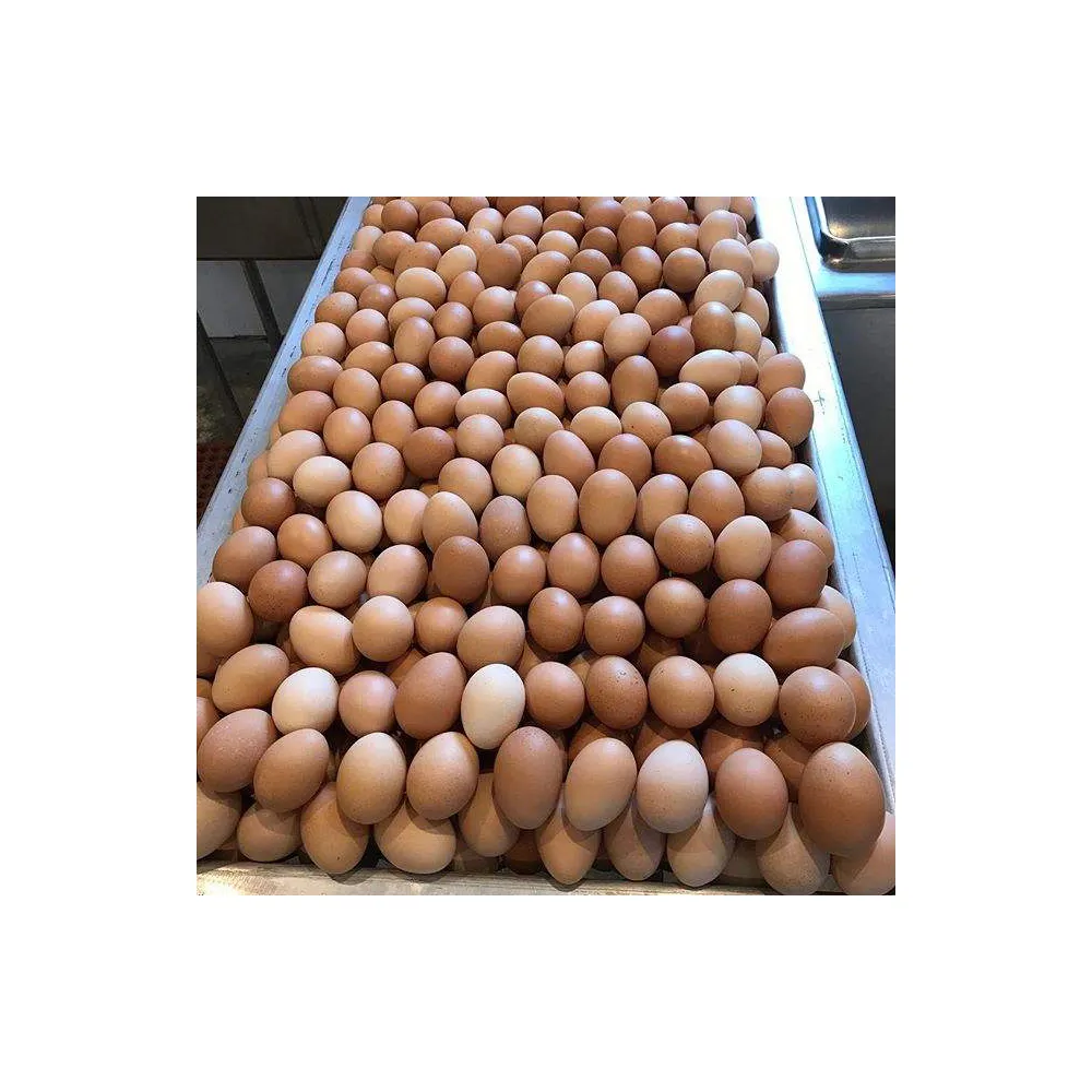 Ovos para tabela de galinha/ovos de galinha frescas