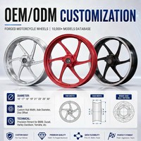 Ruedas de Motocicleta Forjadas Personalizadas ZhiGu, Base de Datos con Más de 10,000 Modelos, Llantas Ligeras T6061-T6, Ajuste Personalizado para BMW, Ducati, Yamaha