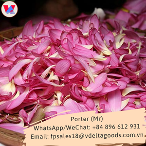 Fleur de lotus séchée du vietnam, bonne utilisation dans la fourniture de beauté aux grossistes et aux revendeurs ajoutant de délicieuses saveurs pour les vacances - Product Image 2