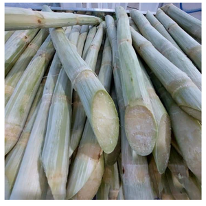 Caña de azúcar congelada Gama Completa tallo entero cortes de caña de azúcar y zumo de caña natural - Product Image 1