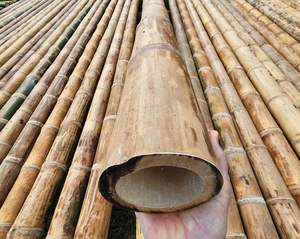 [Fabricant vietnamien] Grands poteaux en bambou pour la construction |   Structurel et traité |   Taille personnalisée - Product Image 5