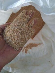 POLVO DE CÁSCARA DE CAMARÓN OEM DE VIETNAM | RICO CALCIO Y PROTEÍNA | SOLUCIÓN DE ALIMENTACIÓN ANIMAL - Product Image 6