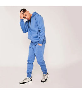 Haute qualité 100% coton pull survêtement hiver à capuche avec sérigraphie Logo personnalisé Option pour la vente en gros - Product Image 2