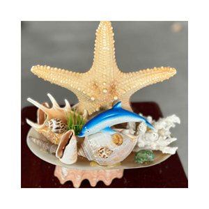 Decoración costera premium de artesanía con conchas marinas, material: conchas marinas naturales; uso: detalles de decoración para el hogar, origen Vietnam, hecho a mano - Product Image 3