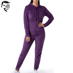 2025 nouvelles femmes décontracté velours violet hiver 2 pièces sweat à capuche zippé respirant motif solide grande taille 2 pièces survêtement pour - Product Image 1