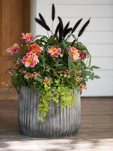 Las jardineras de metal decorativas más vendidas para uso en jardín al aire libre en alta calidad - Product Image 4