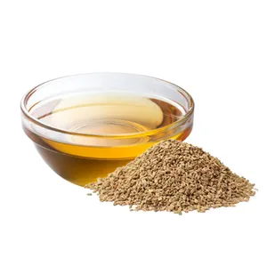 Therapeut isches Öl Top 8 Blend Making Ätherische Öle Set natürliches Ambre tte Samen öl für Aromatherapie-Diffusor