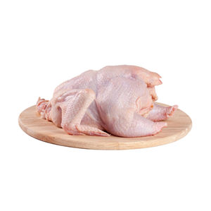 Producto de grado de exportación de aves enteras de pollo congelado con certificado Halal con embalaje en frío seguro para el suministro de restaurantes y mercados minoristas - Product Image 2