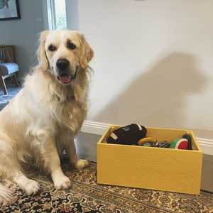 Grande boîte à fruits ou jouet vivant solide personnalisé - Product Image 3