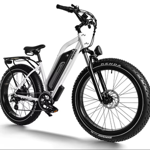จักรยานเสือภูเขาไฟฟ้า For-Himiways D3 Cruiser รุ่นใหม่ ปี 2025-2026 ขายดี - Product Image 1