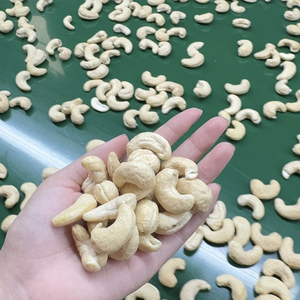 W240เม็ดมะม่วงหิมพานต์จากโรงงานผลิต450 320เวียดนามราคาถูก - Product Image 1