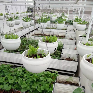 Pot de plante suspendu en chaîne, élégant et durable, parfait pour l'intérieur/l'extérieur, facile à accrocher, ajoute de l'élégance à votre jardin ou à votre maison - Product Image 1