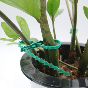 TG77621 Clips de jardinage réglables en plastique pour plantes grimpantes, lot de 50 pour le soutien des plantes - Product Image 5