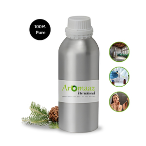 Aceite Esencial de Pino Escocés Puro |   Aceite Esencial de Pino Escocés Orgánico |   Aceite de Pino Silvestre 100% Puro, Iluminador, Antienvejecimiento, Todo en Uno - Product Image 1