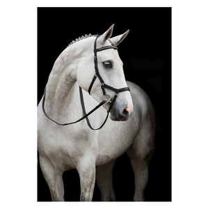 Objeto questrian eath novnovbo Bo ickickickamamomomomompetition ririririririri - Product Image 1