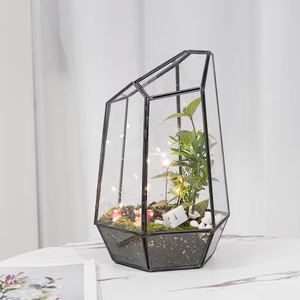 Terrario geométrico Vidrio transparente Latón Borde pesado Acabado en negro Tamaño personalizado Hogar Oficina Decoración de mesa Mini jardín - Product Image 4