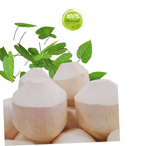 Delicia hidratante de coco pelado con diamante fresco con una cáscara decadente - Product Image 6