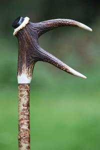 Mango usado Cuerno de búfalo Tamaño personalizado Cuerno de búfalo natural Mango de palo de vaca de color natural de la mejor calidad - Product Image 3