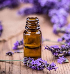 100% Pure Natural Skin Care Body Massage Aceite de lavanda natural 100% Aceite esencial de lavanda pura a precio mayorista - Product Image 3