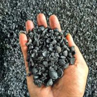 Palm Kernel Shell Charbon de bois pour le charbon actif