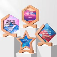 Trophée en bois massif personnalisé multi-formes, design écologique, cadeau d'exposition, médaille de reconnaissance pour employés, vente chaude