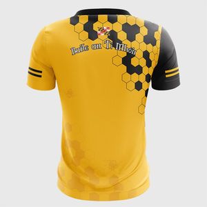 Maillot de football GAA en polyester 100% Kit de football avec conception solide Service OEM disponible Style décodeur - Product Image 2